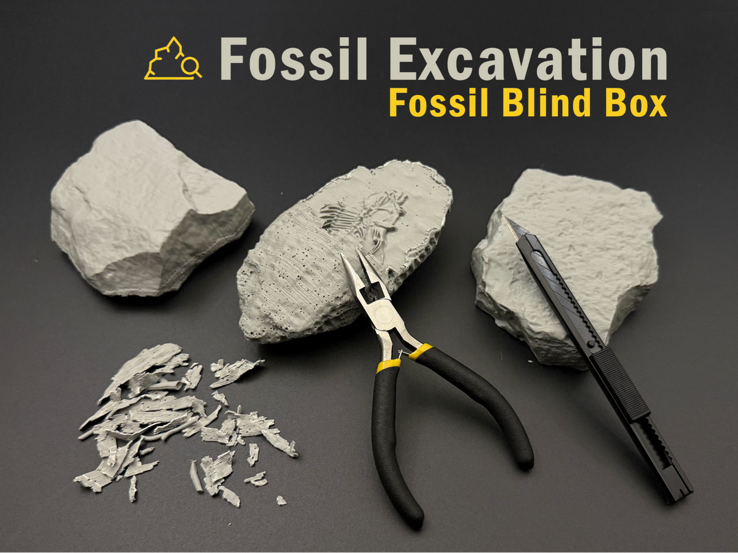 Fossil Analysis Kit