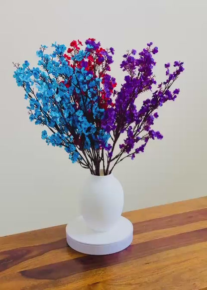 Modern Amphora Vase